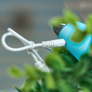 Bareskinn Ewuraba Brush chargers