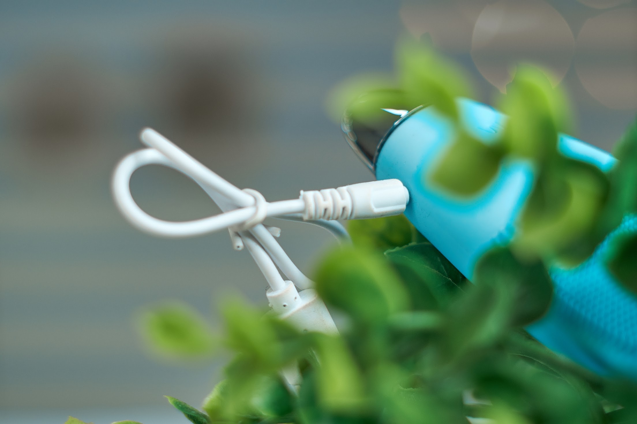 Bareskinn Ewuraba Brush chargers